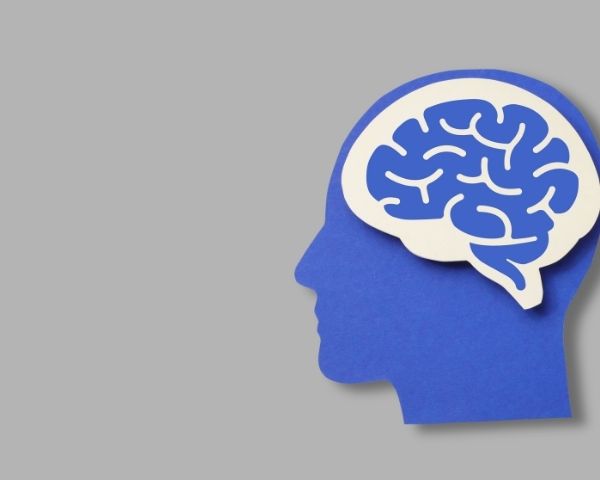 The brain of the owner of a marketing agency.